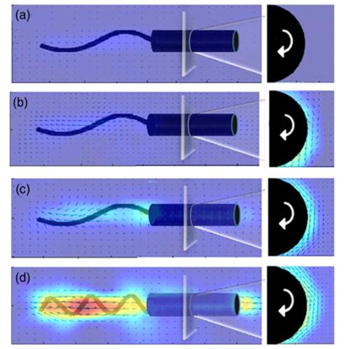 diagram of helical motion