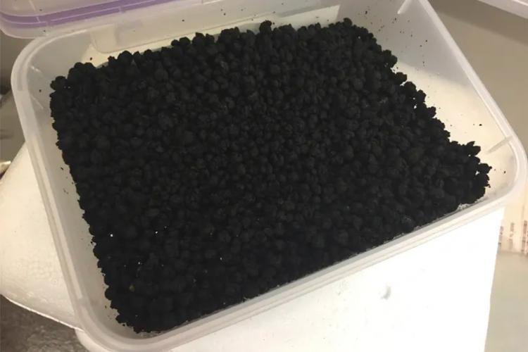 Biosolids after collection from a waste treatment facility.