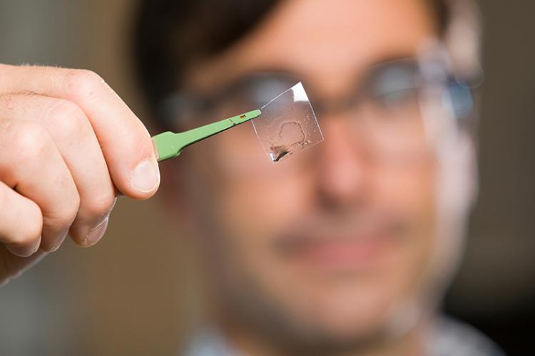 closeup photo of small clear piece of wet plastic held by scissors