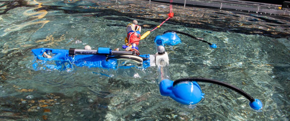 aqua climber robot swimming (photo)