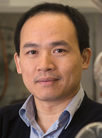 Biwu Ma FSU headshot