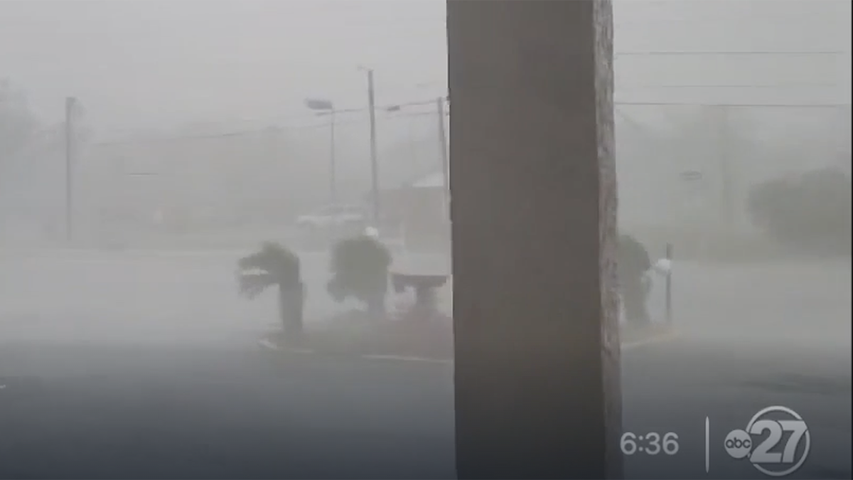 screenshot of hurricane video from wctv