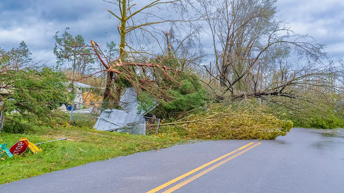photo of hurricane michael damage in florida