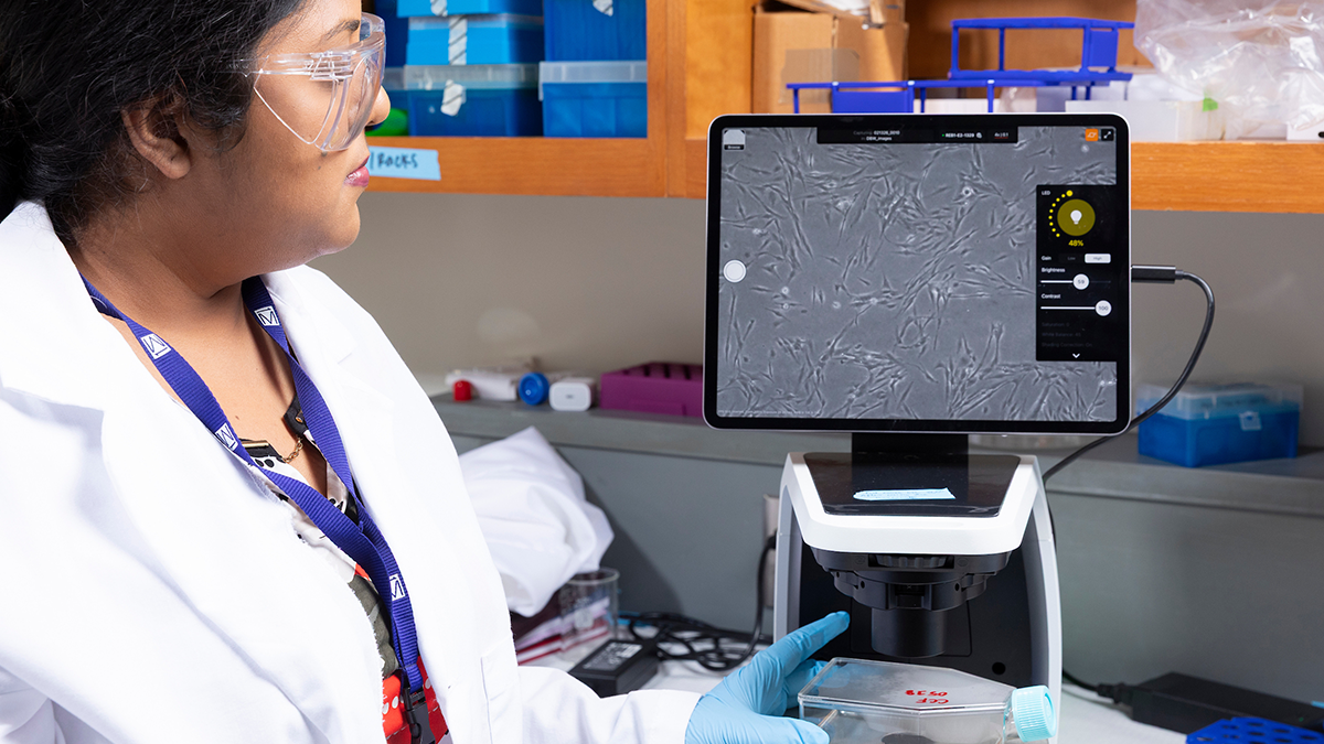 Researcher in a lab coat watches a digital microscope screen while adjusting a cell culture flask on the microscope stage.