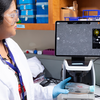 Researcher in a lab coat watches a digital microscope screen while adjusting a cell culture flask on the microscope stage.