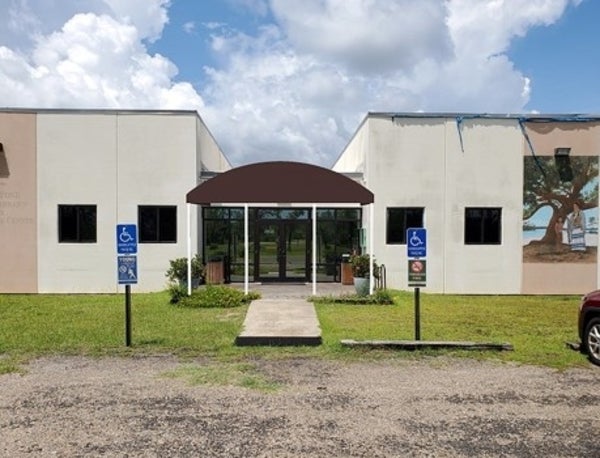 mossy pond library